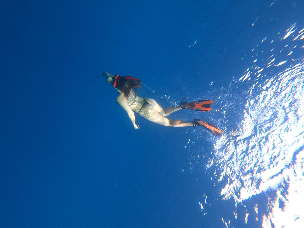 WhatsApp Image 2025-08-09 at 13.03.17 (1)