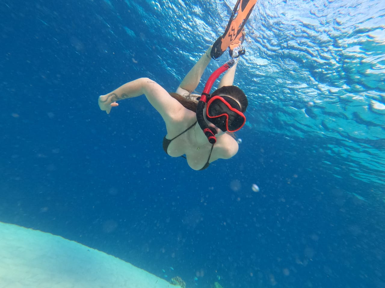 WhatsApp Image 2025-08-09 at 13.03.18